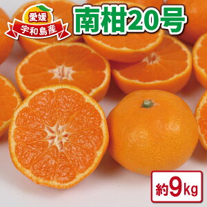 yӂ邳Ɣ[Łz Q݂ s\ 9kg 승20 ΂_ B݂ Â  B  mikan ʕ  t[c Q~J Q QY k _ƒ Yn 