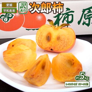 yӂ邳Ɣ[Łz 󂠂 ` Y` 15`16 5kg L 2L 낤` _ s\ s kaki  N 낤 JL t[c A 󂠂i L 킯 ʕ  Yn _