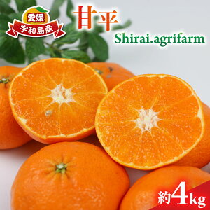 yӂ邳Ɣ[Łz Õ 4kg 2L~4L TCY Shirai.agrifarm s\ ݂ k Q i Q~J Q mikan k ʕ  t[c  uh ؂ Â  