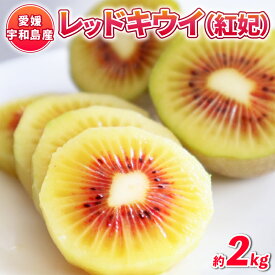 【ふるさと納税】 レッドキウイ (紅妃) 2kg 先行予約 果物 Shirai.agrifarm キウイ キウイフルーツ 甘い 高級 希少 果物 フルーツ デザート スイーツ 農家直送 産地直送 数量限定 国産 愛媛 宇和島 F012-115001