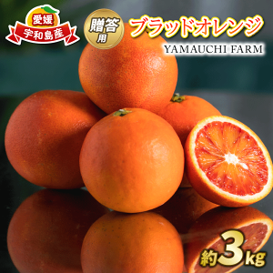 yӂ邳Ɣ[Łz s\ p ܂ ubhIW  ^bR 3kg YAMAUCHI FARM Q݂ Q Q~J IW ʒ ݂ mikan ʕ t[c k Z Â Ö 