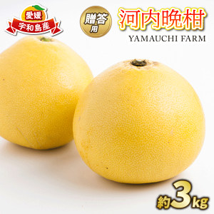 yӂ邳Ɣ[Łz p ͓ӊ 3kg YAMAUCHI FARM ӊ 킿΂񂩂 a O[vt[c Q݂ Q Q~J mikan s\ ʕ t[c  k ς  M