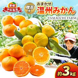 【ふるさと納税】 みかん 贈答用 おまかせ 温州みかん 3kg YAMAUCHI FARM 極早生 早生 南柑20号 愛媛蜜柑 愛媛ミカン うんしゅう 玉津 みかん mikan 先行予約 果物 フルーツ 柑橘 濃厚 甘い 甘味 蜜柑 産地直送 農家直送 数量限定 国産 愛媛 宇和島 B010-084003