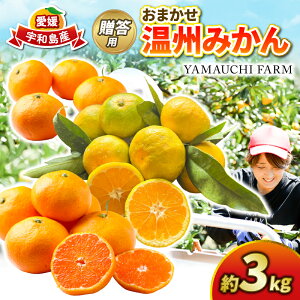 yӂ邳Ɣ[Łz ݂ p ܂ B݂ 3kg YAMAUCHI FARM ɑ  승20 Q Q~J 񂵂イ ʒ ݂ mikan s\ ʕ t[c k Z Â Ö 