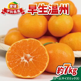 【ふるさと納税】 愛媛 みかん 早生温州 家庭用 7kg S~2L サイズ ミックス 南四国ファーム 不揃い 早生 温州 温州みかん 果物 くだもの フルーツ 柑橘 蜜柑 産地直送 数量限定 国産 宇和島 B010-035001