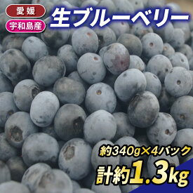 【ふるさと納税】 ブルーベリー 生ブルーベリー 340g ×4パック 計約 1.3kg 南四国ファーム 先行予約 berry ベリー 果物 フルーツ デザート スイーツ ジャム ポリフェノール 抗酸化作用果物 冷蔵 小分け 農家直送 産地直送 数量限定 フルーツ 国産 愛媛 宇和島 F013-035006