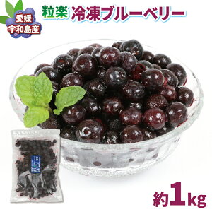 yӂ邳Ɣ[Łz Ⓚ u[x[ 500g 2 v1kg y lt@[ Ⓚʎ ʕ X[W[ u[x[W N X[p[t[h  p Ⓚu[x[ AgVA
