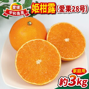 yӂ邳Ɣ[Łz ݂ 28 3kg ƒp PI lt@[ mikan  uh  i Â [[ vv ʕ  t[c k  ݂ ~J k Q