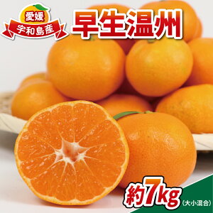 yӂ邳Ɣ[Łz B݂ ݂ 7kg ƒp B 召 lt@[ mikan ݂ ~J s  B Q~J Q ʕ  t[c  H r^