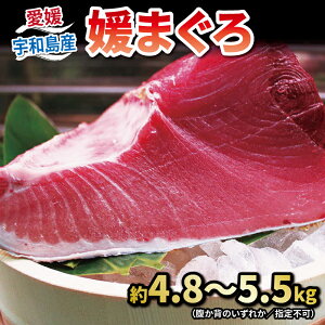 yӂ邳Ɣ[Łz {}O ubN 4.8`5.5kg Q܂ _Cj` }O Ԑg g g  ws }O Y}O {B}O {B{}O N}O  hg Ђ lMg 