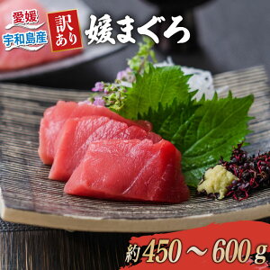 yӂ邳Ɣ[Łz 󂠂 {}O ubN 450`600g Q܂ _Cj`  hg Y}O {B}O { N}O }O Ԑg g g  ws Ђ lMg AW 