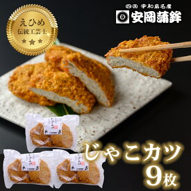 【ふるさと納税】 ＼10営業日以内発送／ じゃこカツ 9枚 3枚×3袋 安岡蒲鉾店 じゃこ天 天ぷら 小魚 すり身 練り物 ねりもの 練り製品 さつま揚げ 冷蔵 惣菜 フライ おでん 具 出汁 だし 小分け 酒 肴 魚肉 加工品 特産品 郷土料理 国産 愛媛 宇和島 C012-020009