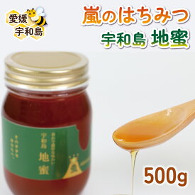 【ふるさと納税】 国産純粋はちみつ 嵐 の はちみつ 天然 100％ 宇和島 地蜜 みつばち屋嵐 日本蜂蜜 非加熱 蜂蜜 希少 天然 100% 国産蜂蜜 天然蜂蜜 天然はちみつ 日本はちみつ ピュア ハニー パン ジャム 日本ミツバチ 国産 愛媛 F018-129004