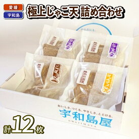 【ふるさと納税】 じゃこ天 セット 極上 じゃこ天 詰め合わせ 宇和島屋 ごぼう天 れんこん天 ゴボウ ごぼ天 レンコン 蓮根 すり身 練り物 冷蔵 惣菜 フライ おでん 煮物 アレンジ 出汁 小分け 酒 おつまみ 肴 蒲鉾 かまぼこ 特産品 郷土料理 国産 愛媛 宇和島 C010-026001