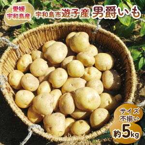 yӂ邳Ɣ[Łz Ⴊ j݂ 5kg FasVqY NPO@li낤 s\  ₳ WKC j  s Yn Yi n鏒 ΂ꂢ  C  |e
