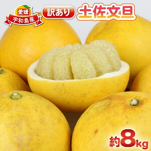 yӂ邳Ɣ[Łz yU U 󂠂 8kg { s\ 킯 󂠂i Ԃ񂽂 u^ ʕ  t[c k  ݂ mikan ~J  r^~ fU[g Q