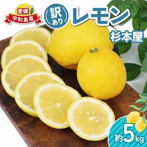 yӂ邳Ɣ[Łz 󂠂  5kg { s\ 킯  EG ʏ` _ u₩ ʎ T[ W[X `[nC remon   EG ʕ  r^~ t