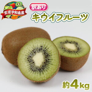 yӂ邳Ɣ[Łz 󂠂 LEC t[c 4kg { 킯 O[LEC wC[h LECt[c fU[g XC[c s\ ʕ  TCY s A 󂠂i L 