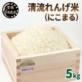 【ふるさと納税】 予約受付 新米 清流 れんげ米 にこまる 5kg かわたのお米屋さん 11月以降発送 米 精米 ごはん お弁当 おにぎり ブランド米 ふっくら ツヤツヤ 甘い 粘り 美味しい 農家直送 産地直送 数量限定 国産 愛媛 宇和島 G010-134001