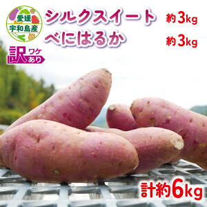 yӂ邳Ɣ[Łz 󂠂 ܂ VNXC[g ׂɂ͂邩 v 6kg Hה _ A 󂠂i L 킯 ܈ Tc}C g͂邩  ₳ Yn ͔|