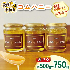【ふるさと納税】 ＼10営業日以内発送／ 巣蜜 コムハニー 選べる 容量 500g ~ 750g 宇和島農産 ハチミツ 蜜 百花蜜 巣みつ 巣ミツ 人気ハチミツ 非加熱 はちみつ 蜂蜜 百花はちみつ 純粋はちみつ 生はちみつ 天然はちみつ 産地直送 愛媛 宇和島