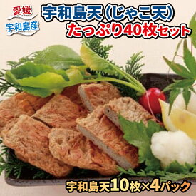 【ふるさと納税】 ＼10営業日以内発送／ 蒲鉾 じゃこ天 計40枚 10枚 × 4パック 小林フーズ 宇和島天 すり身 冷蔵 プレゼント ギフト 惣菜 練り物 練物 さつま揚げ かまぼこ じゃこカツ フライ 小分け 郷土料理 酒 おつまみ 肴 加工品 特産品 国産 愛媛 宇和島 C012-070001