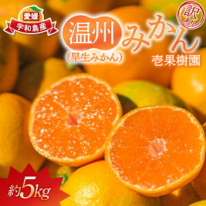 yӂ邳Ɣ[Łz 󂠂  B ݂ 5kg ʎ 킯 mikan B B݂ ݂ ʕ  Q݂ Q Q~J A 󂠂i L Q~J 