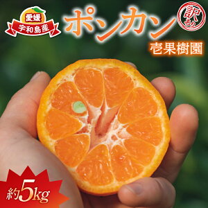 yӂ邳Ɣ[Łz 󂠂 |J 5kg ʎ 킯 Ã|J Â RN Z ۂ񂩂 ʕ  t[c k  Q Q݂ Q~J A 󂠂i L 