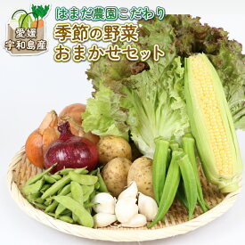 【ふるさと納税】 季節のおまかせ 野菜 セット はまだ農園 小分け 季節 お任せ 食べ比べ 旬野菜 旬 詰め合わせ 季節限定 季節野菜 フレッシュ 農家直送 産地直送 数量限定 国産 愛媛 宇和島 F010-139001