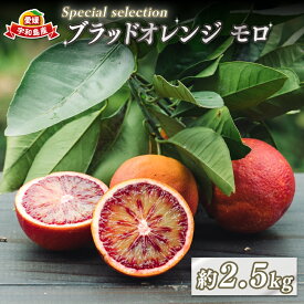 【ふるさと納税】 ブラッドオレンジ モロ Special selection 2.5kg コルレオファーム 先行予約 果物フルーツ ブラッド オレンジ 柑橘 みかん 蜜柑 mikan 愛媛ミカン 愛媛蜜柑 愛媛みかん 農家直送 産地直送 数量限定 国産 愛媛 宇和島 B010-145004