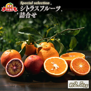 yӂ邳Ɣ[Łz k l 2.5kg s\ Special selection VgXt[c RIt@[ ubhIW  ^bR Ƃ sm  ۂ񂩂 ͂邩 5i ʕ t[c 
