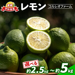 yӂ邳Ɣ[Łz  Iׂ e 2.5kg ~ 5kg RIt@[ Y h E bNX sgp Y s\   remon EG ʕ  r^~ T[ W[X