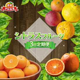 【ふるさと納税】 シトラス フルーツ 3回 定期便 コルレオファーム 南柑20号 ブラッドオレンジ モロ 甘平 はるか ポンカン タロッコ せとか 清見 不知火 詰め合わせ 愛媛ミカン 愛媛みかん みかん 柑橘 mikan果物 くだもの 数量限定 先行予約 愛媛 宇和島 B034-145017