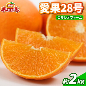 yӂ邳Ɣ[Łz 28 2kg RIt@[ Q݂ s\  k Q ݂ t[c k  mikan Z vv  ʕ  ݂ Z