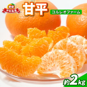 yӂ邳Ɣ[Łz Õ 2kg RIt@[ Q݂ Â   k   i VLVL ʕ  s\ mikan t[c k 񂫂 ݂ ~J  