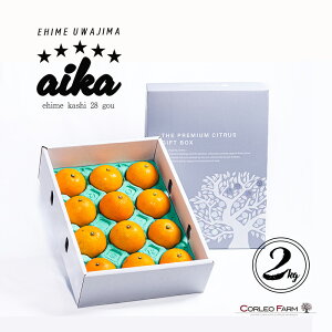 yӂ邳Ɣ[Łz 28 2kg RIt@[ Q݂ s\  k Q ݂ t[c k  mikan Z vv  ʕ  ݂ Z