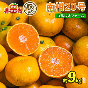 yӂ邳Ɣ[Łz 󂠂 승20 B݂ 9kg RIt@[ 킯 Q~J Q݂ ݂ t[c k  mikan B ʕ  lĈ݂ ݂ Z