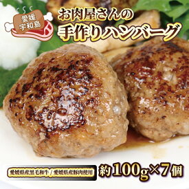 【ふるさと納税】 お 肉屋 さんの 手作り ハンバーグ 泉 精肉店 100g × 7個 黒毛和牛 豚 合い挽き 肉 お肉 にく 惣菜 おかず お弁当 冷凍 小分け 真空パック 焼くだけ 簡単調理 弁当 和風 デミグラス アレンジ可 国産 愛媛 宇和島 E012-142001