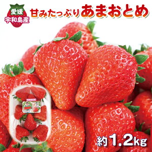 yӂ邳Ɣ[Łz C`S  Â Ղ ܂Ƃ 1.2kg (300g×4pbN) c_ Q IWi i ̂ × ƂƂ s\ Â ܂ ʕ t[c H [Og X