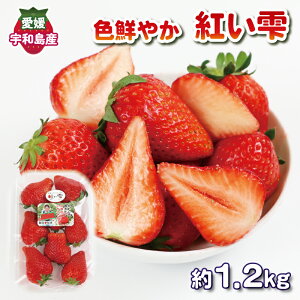 yӂ邳Ɣ[Łz FN₩  g 1.2kg ( 300g × 4pbN ) c_ Â ܂  C`S Xgx[ { ʕ H [Og t[c fU[g XC[c X[W[ W 