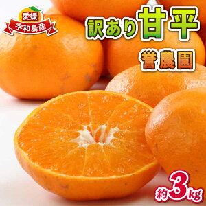 yӂ邳Ɣ[Łz Q݂ 󂠂 Õ 3kg __  Q  uh i Q~J Q ݂  mikan k ʕ  t[c k ݂  ʌ _
