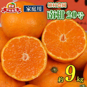 yӂ邳Ɣ[Łz ys\z B݂ ƒp 9kg 승20 ݂ A_ mikan B~J Q~J Q Q݂ B  ʕ  t[c k ʌ Y Q