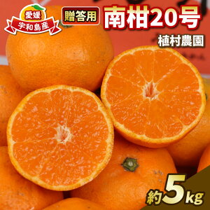 yӂ邳Ɣ[Łz p 승20 5kg A_ B B݂ ݂ ʕ  t[c k   Mtg v[g _ƒ Yn ʌ Y Q Fa B010-153009