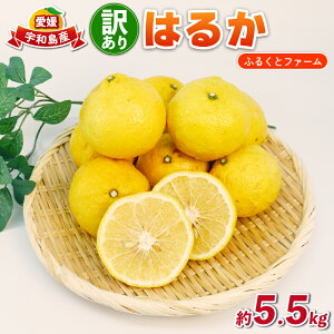 yӂ邳Ɣ[Łz 󂠂 ͂邩 ݂ 5.5kg ӂ邭ƃt@[ s\ TCY Ȃ ʕ  t[c Â u₩  k  mikan Q~J Q Q