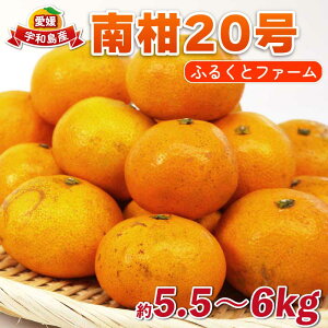 yӂ邳Ɣ[Łz 승20 5.5kg ~ 6kg TCY~bNX ӂ邭ƃt@[ s\ Ȃ B݂ ʕ  t[c k ݂  mikan Q~J Q Q݂ 