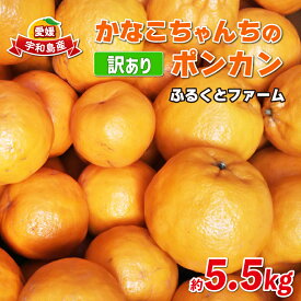 【ふるさと納税】 訳あり ポンカン みかん 約5.5kg ふるくとファーム 先行予約 2月頃発送予定！かなこちゃん サイズ混合 わけあり 果物 くだもの フルーツ 柑橘 かんきつ 人気 蜜柑 濃厚 甘い 甘味 農家直送 産地直送 数量限定 国産 愛媛 宇和島 B010-037006