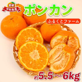 【ふるさと納税】 ポンカン みかん 約5.5kg ～ 6kg ふるくとファーム かなこちゃん 先行予約 サイズミックス ぽんかん 果物 くだもの フルーツ 蜜柑 mikan 愛媛ミカン 愛媛蜜柑 愛媛みかん 柑橘 かんきつ 甘味 農家直送 産地直送 数量限定 国産 愛媛 宇和島 B015-037010