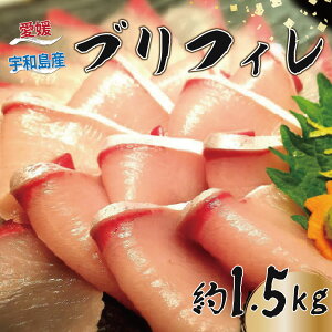 yyVӂ邳Ɣ[Łz u tB 1.5kg L ANAvX uh  Ԃ hg  hg hg hg tB[ H  Ԃ  Ђ И CN i 