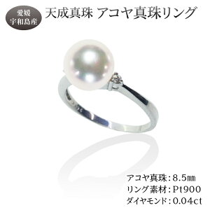 yӂ邳Ɣ[Łz AR^ O 8.5mm V^ ANZT[ t@bV O w WG[ akoya {^ ^ p[ z  v[g 蕨 i p j a