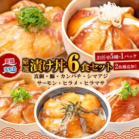 【ふるさと納税】 海鮮丼 漬丼 厳選 活締め 全7種 漬け丼 6食 セット 南予ビージョイ 鮭 サーモン 鰤 ブリ 真鯛 鯛 カンパチ 縞鯵 シマアジ あじ ヒラメ ヒラマサ 漬け丼 人気 加工品 海鮮 刺身 国産 愛媛 宇和島 D010-150005